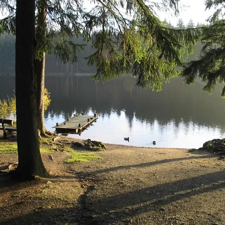 Cozy Holiday In With Lake Nearby Fichtelberg