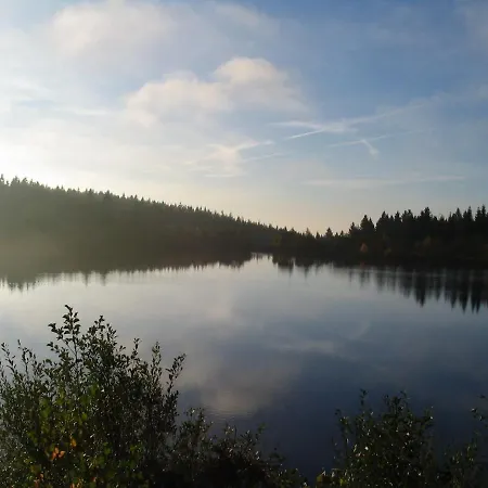 Cozy Holiday In With Lake Nearby * Fichtelberg